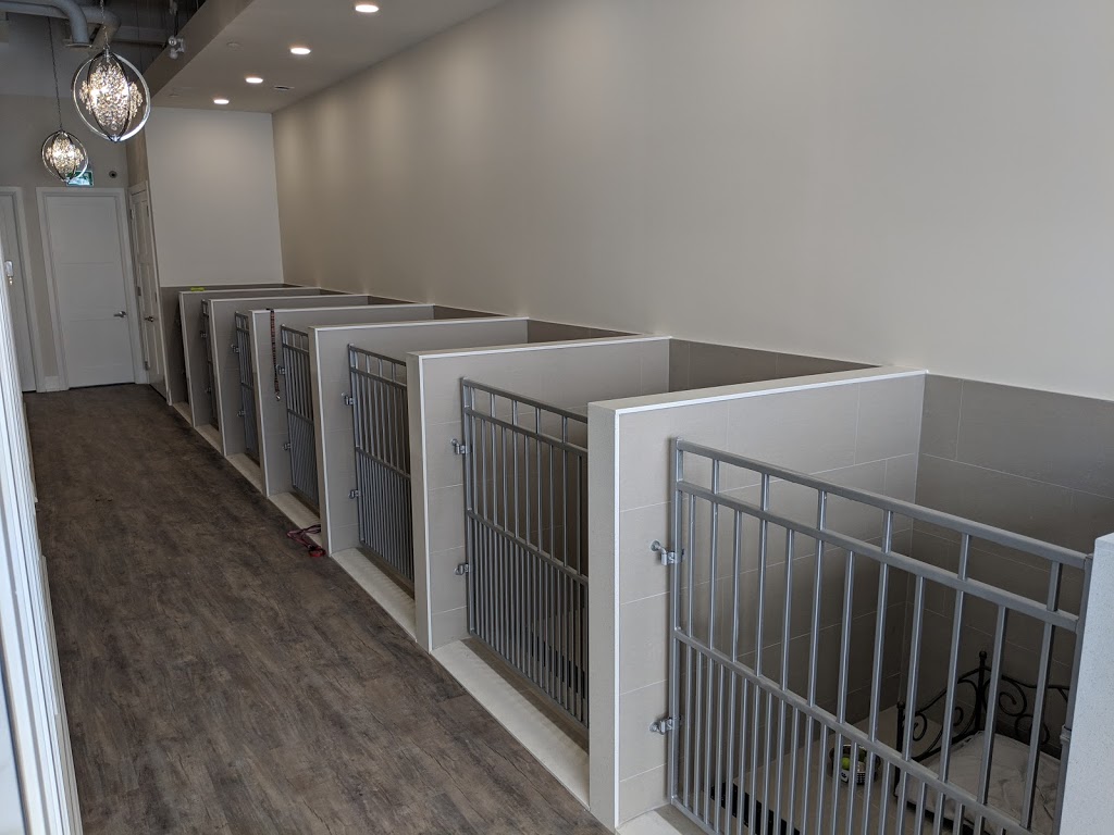 All Dogged Up Grooming & Pet Spa | 1700 King Rd #43, King City, ON L7B 0N1, Canada | Phone: (905) 539-2083