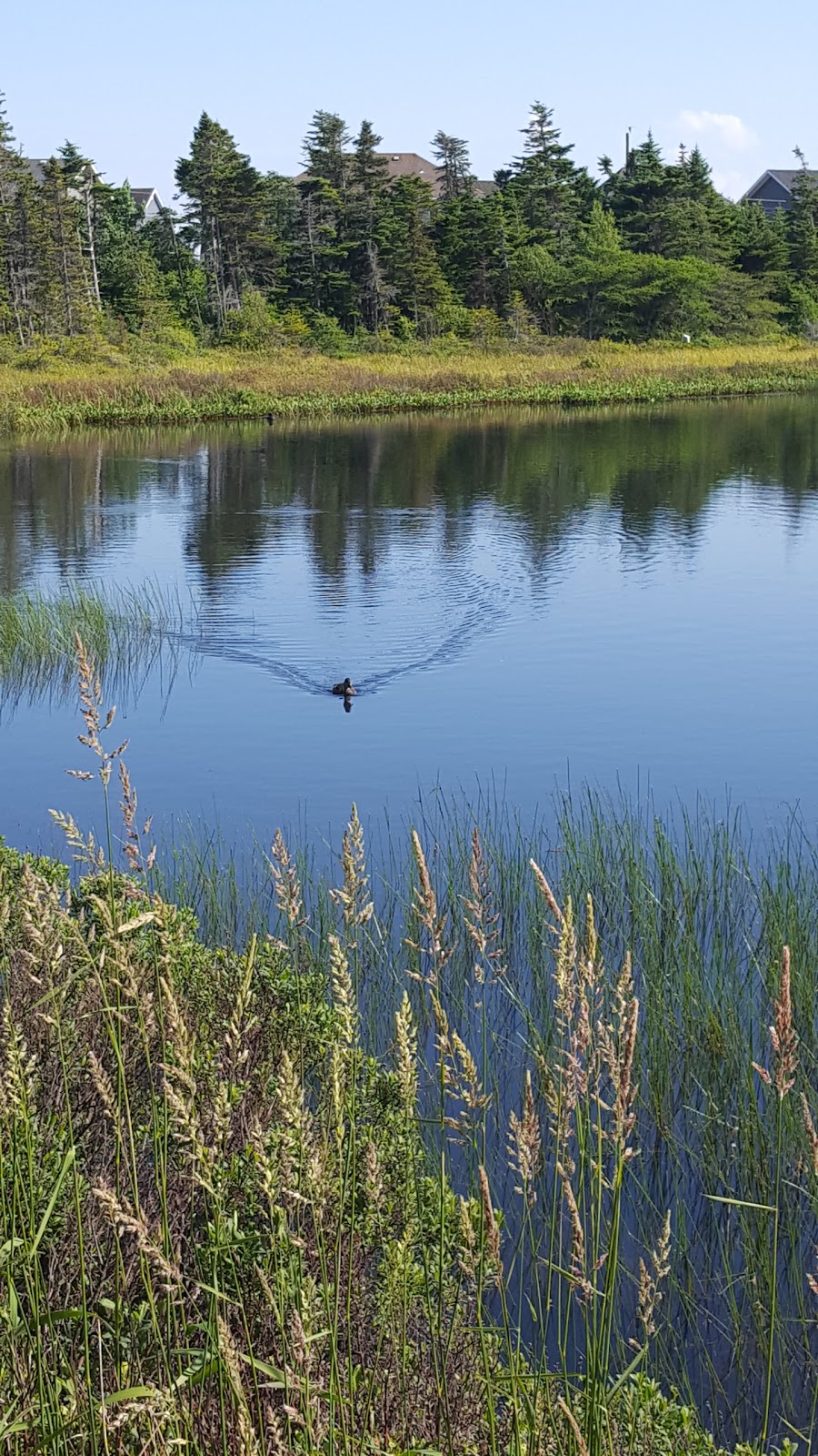 Branscombes Pond Park | Branscomes Pond Walk, Mount Pearl, NL A1N 3L2, Canada