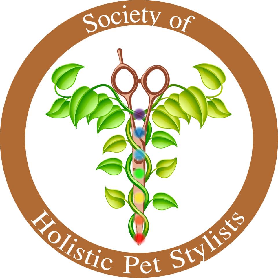 Danielles Dog Grooming Studio | 36675 Dawson Rd, Abbotsford, BC V3G 2L1, Canada | Phone: (604) 996-1213