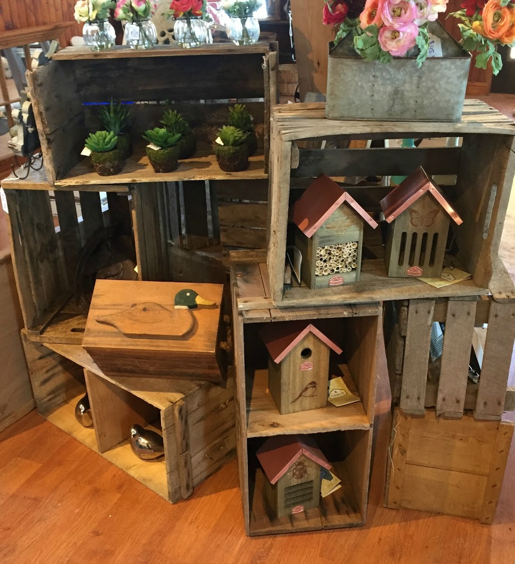 Style Your Nest | 6 Main St, Buckhorn, ON K0L 1J0, Canada | Phone: (705) 768-0155