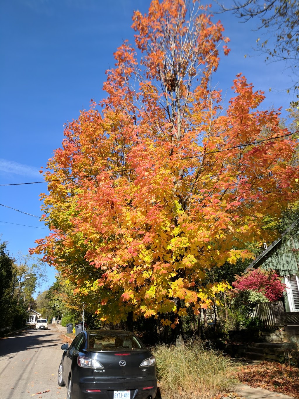 Joseph Wolfond Park East | 230 Arthur St N, Guelph, ON N1E 4V8, Canada