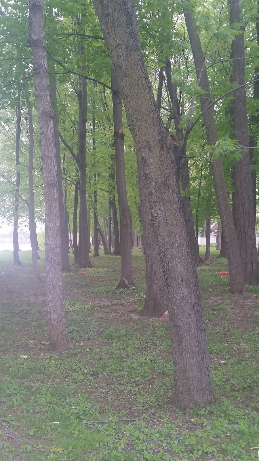 Parc Beausoleil | 245 Rue Leandre Beausoleil, Terrebonne, QC J6W 4B2, Canada