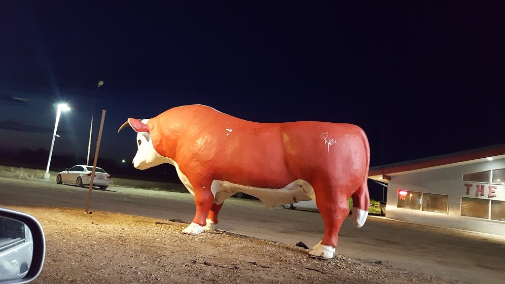 Gas Plus Radisson Red Bull # 999 | Trans-Canada Hwy, Radisson, SK S0K 3L0, Canada | Phone: (306) 827-4417
