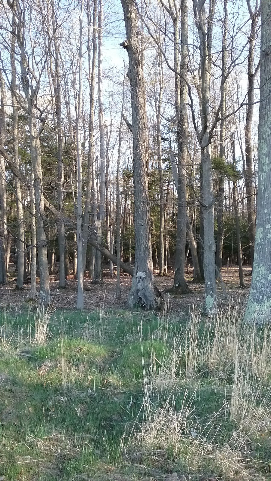 Eagle Point Wildlife Management Area | 2 Woodlawn Ave, Newport, VT 05855, USA