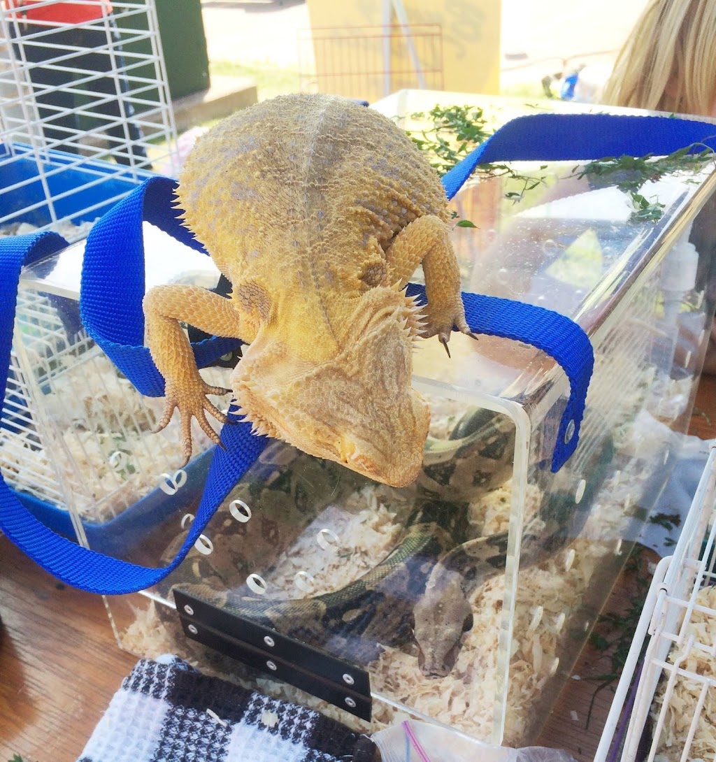 Bunny Trails Pet Ranch | 1306 Rte 20, Kensington, PE C0B 1M0, Canada | Phone: (902) 954-0097