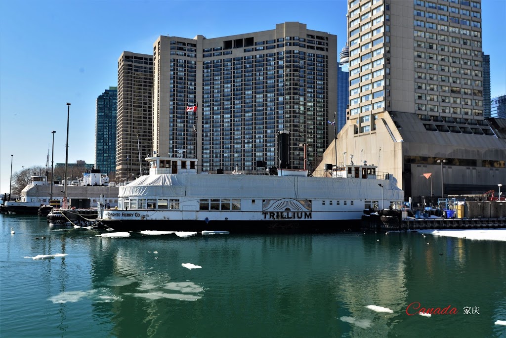 captain johns pier sculpture | Central Waterfront, Toronto, ON M5E 0A4, Canada