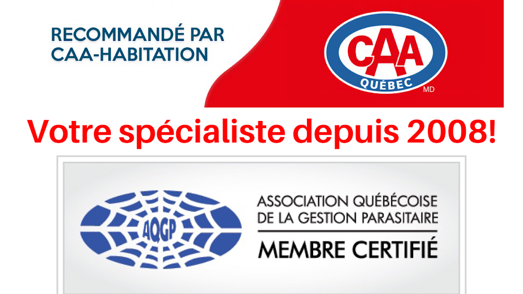 Exterminateur Laval - Morin Extermination Inc. | 1099 Rue Patenaude Porte 1, Laval, QC H7G 3H1, Canada | Phone: (450) 231-0173