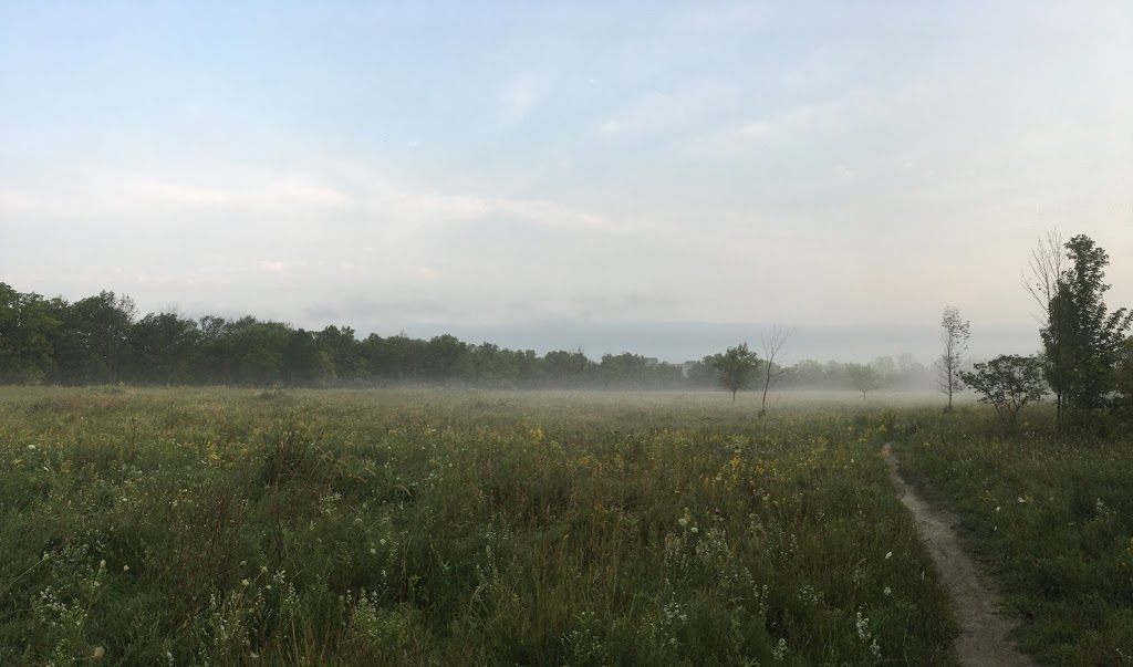 McMaster Conservation Corridor | Monarch Trail, Hamilton, ON L9H 5E3, Canada