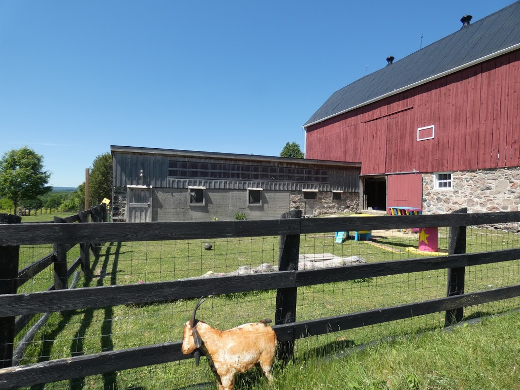 Haute Goat | 1166 5th line, Newtonville, ON L0A 1J0, Canada | Phone: (905) 447-3788