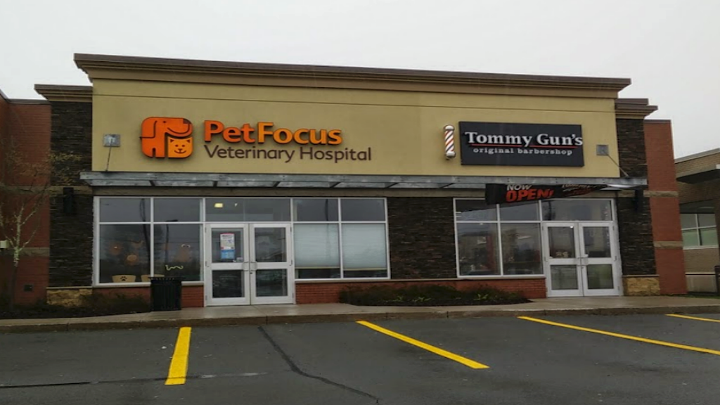 PetFocus Veterinary Hospital | 15 Peakview Way, Halifax, NS B3M 0G2, Canada | Phone: (902) 445-8387