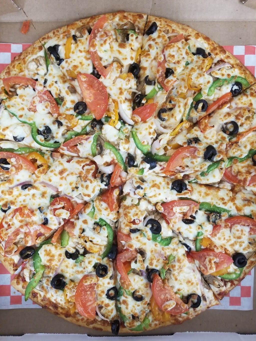 Pizza King | 660 Osborne St #2, Winnipeg, MB R3L 2B6, Canada | Phone: (204) 233-5464