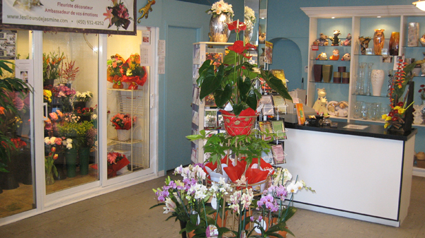 Fleurs De Jasmine (Les) | 332 Boulevard Notre-Dame-des-Champs #3, Repentigny, QC J6A 3B7, Canada | Phone: (450) 932-6252