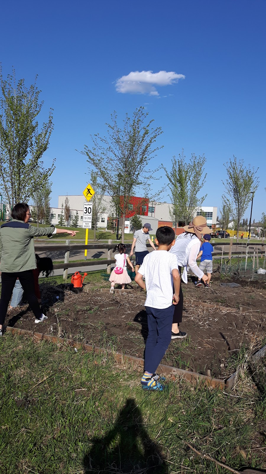 Terwillegar Towne Community Garden | Terwillegar Common NW, Edmonton, AB T6R, Canada