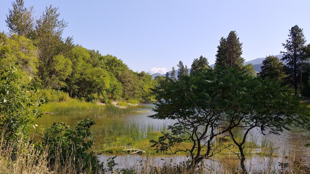 Okanagan Falls Provincial Park | Green Lake Rd, Okanagan Falls, BC V0H 1R0, Canada | Phone: (250) 497-5423