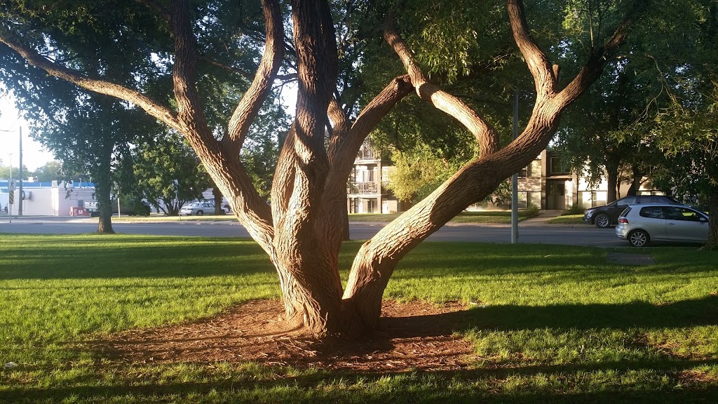 John Lake Park | 2620 Broadway Ave, Saskatoon, SK S7J 0Z6, Canada | Phone: (306) 975-3300