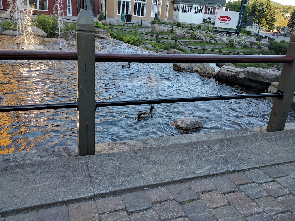 Tremblant Information Center | 1000 Chem. des Voyageurs, Mont-Tremblant, QC J8E 1T1, Canada | Phone: (819) 681-3000 ext. 46643