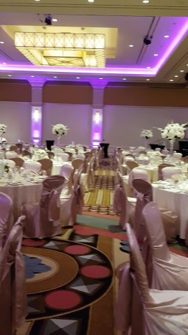 Diva Floral Designs | 1030 Walker Rd, Windsor, ON N8Y 2N5, Canada | Phone: (519) 972-9466