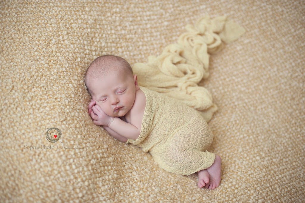 Sophie Lecavalier Photography | 4874 Cordova Bay Rd, Victoria, BC V8Y 2J5, Canada | Phone: (250) 661-2558