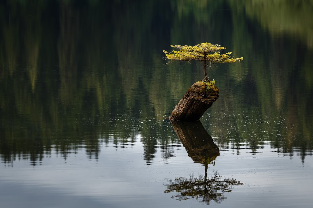 Fairy Lake Recreation Site | Juan de Fuca, BC V0S, Canada | Phone: (250) 701-1976