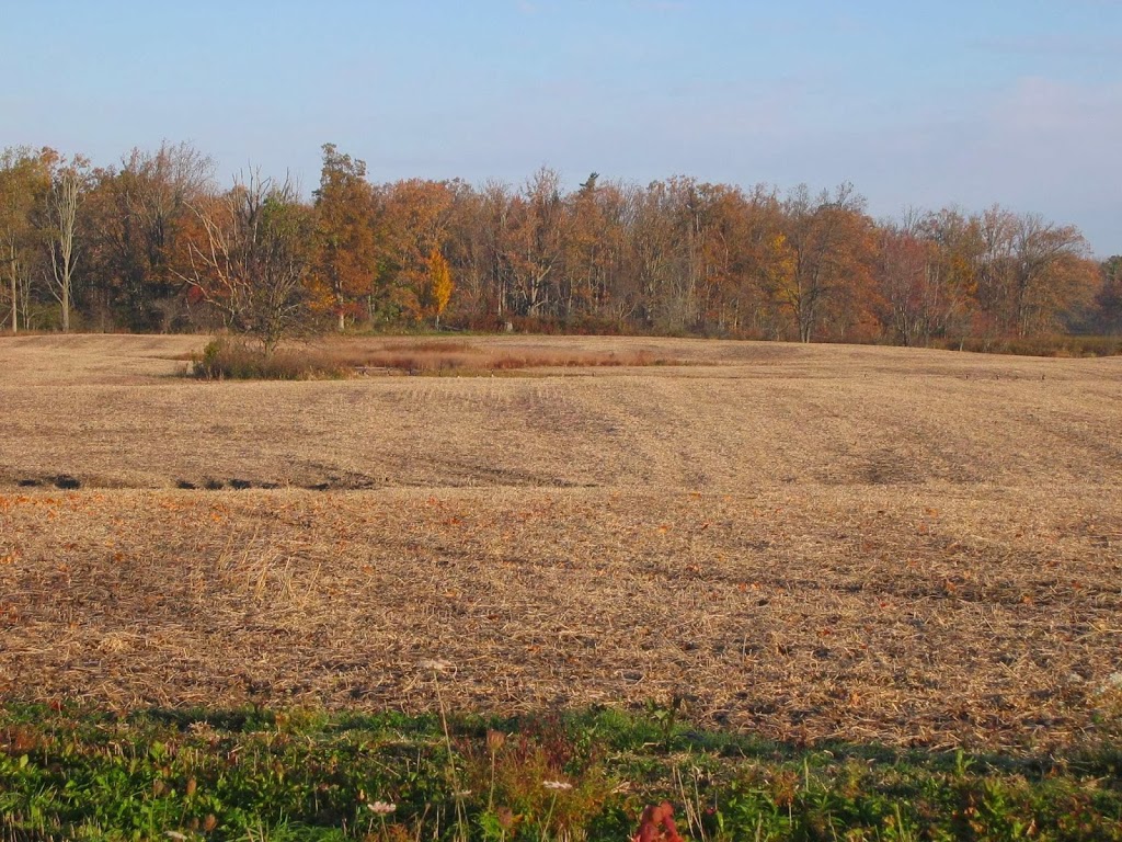 Ruffwood Game Farm | 535 Concession 1 Rd S, Cayuga, ON N0A 1E0, Canada | Phone: (905) 772-7230
