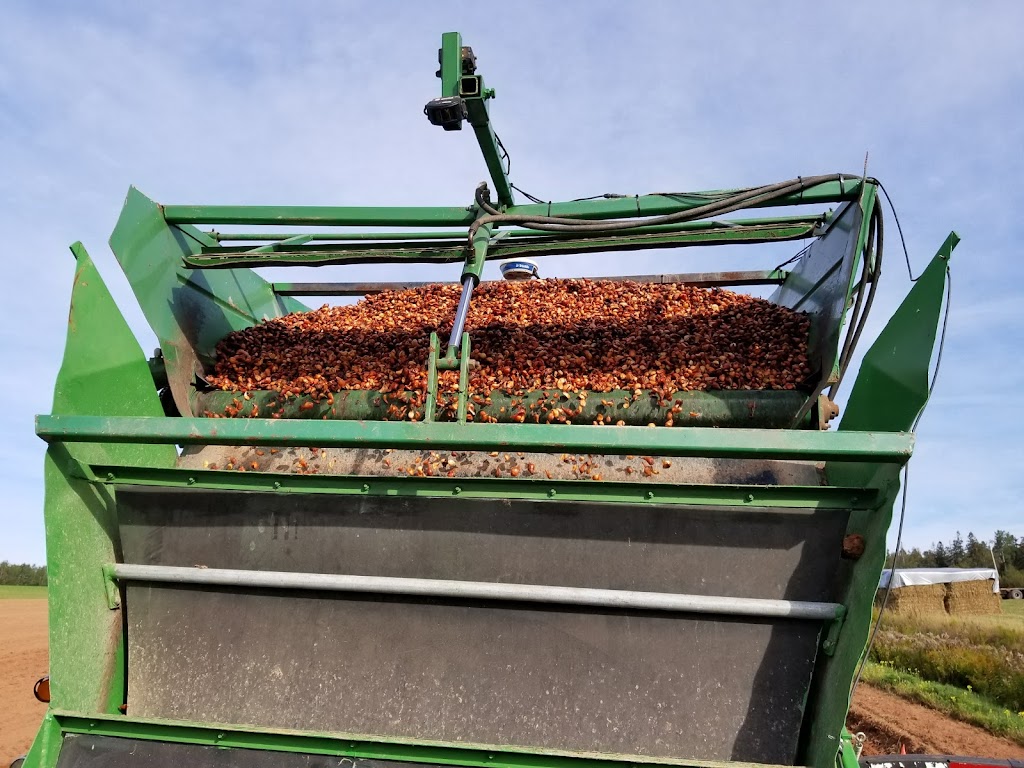 Vanco Farms Ltd | 9311 Trans-Canada Hwy, Mount Albion, PE C1B 0R4, Canada | Phone: (902) 651-2970