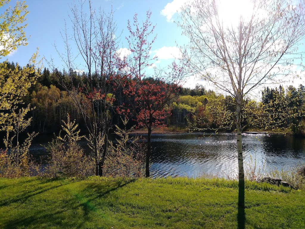 Camping qui nexiste pas | 350 Chem. du lac des Georges #326, Larouche, QC G0W 1Z0, Canada | Phone: (418) 321-2315