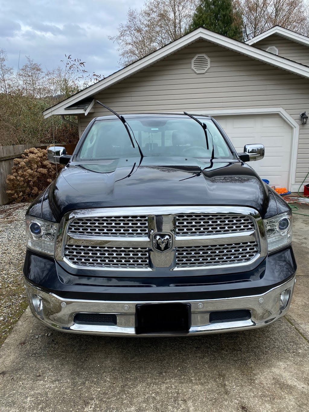 Autodetailing Buddies | 5533 Sechelt Inlet Cres, Sechelt, BC V7Z 0G1, Canada | Phone: (604) 212-2919