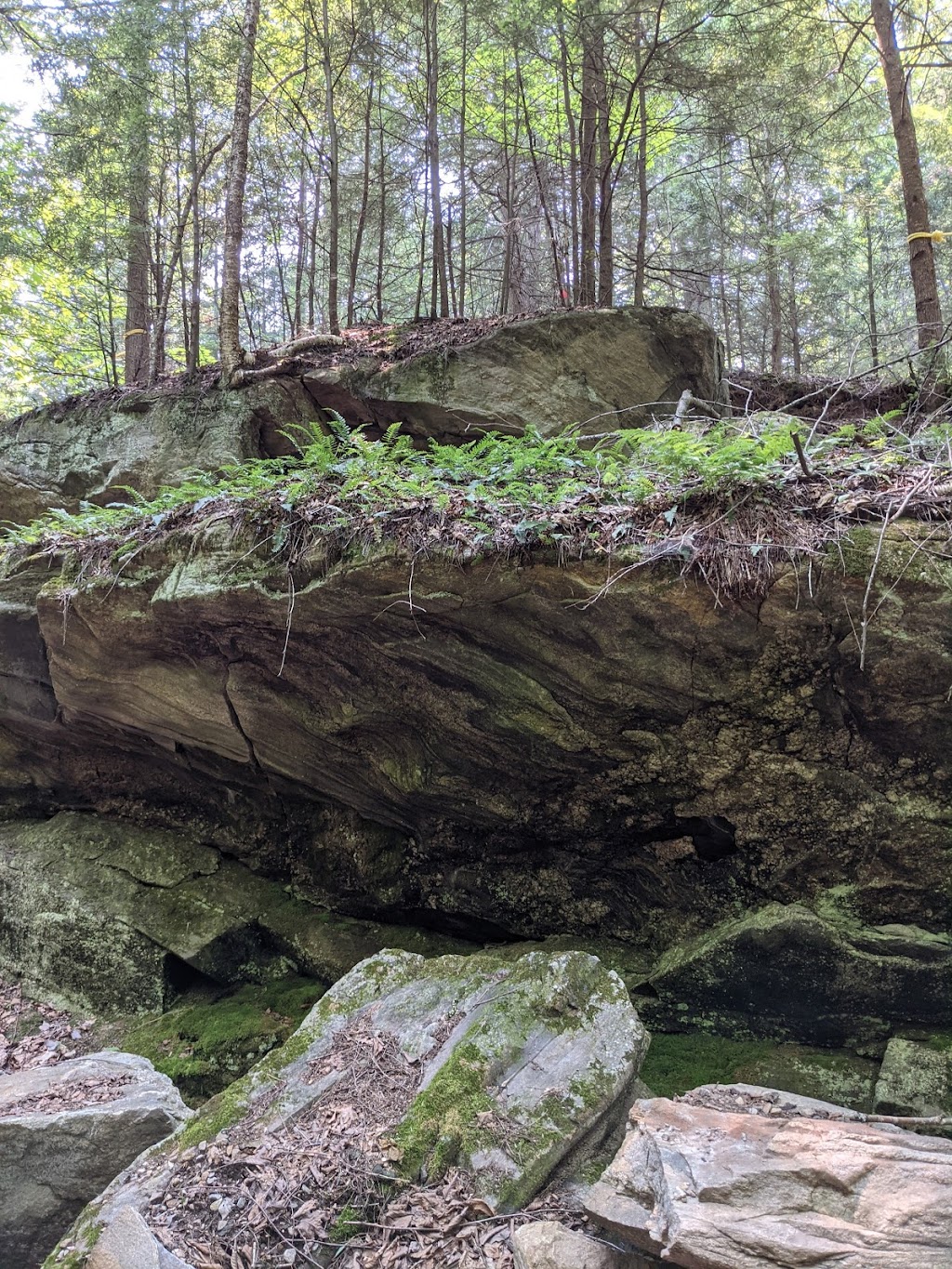 Sentiers de la Montagne Roy : Allons aux bois | 116 Rue Papineau, Chénéville, QC J0V 1E0, Canada | Phone: (819) 428-3583