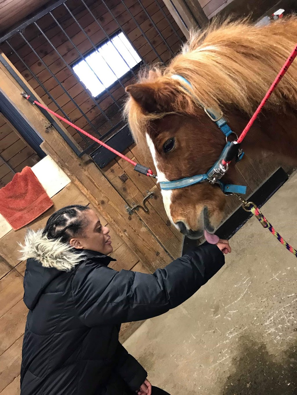 Zoothérapie Véro et ses animaux à Lanaudière | 1676 Chem. de la Côte Georges, Mascouche, QC J7K 3C2, Canada | Phone: (514) 863-5560