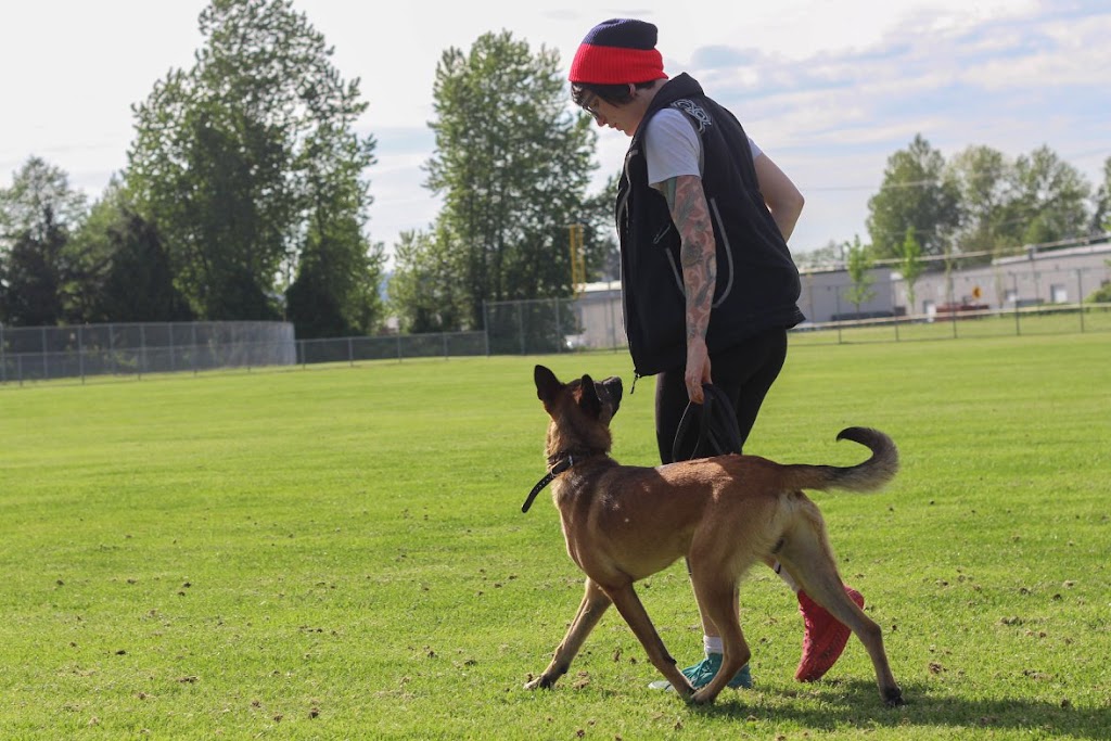 Ideal Canine | 33717 6 Ave, Mission, BC V2V 2A5, Canada | Phone: (778) 347-1884