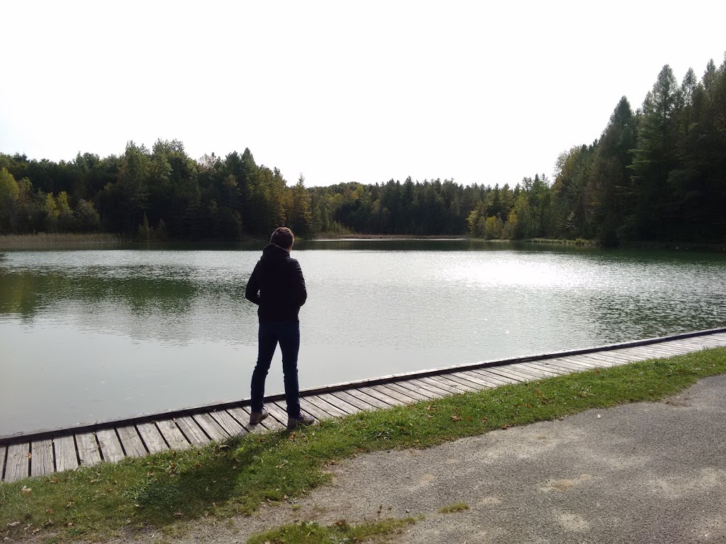Allan Park Conservation Area | 301820 Concession Rd 2 SDR, Hanover, ON N4N 3B8, Canada | Phone: (519) 367-3040