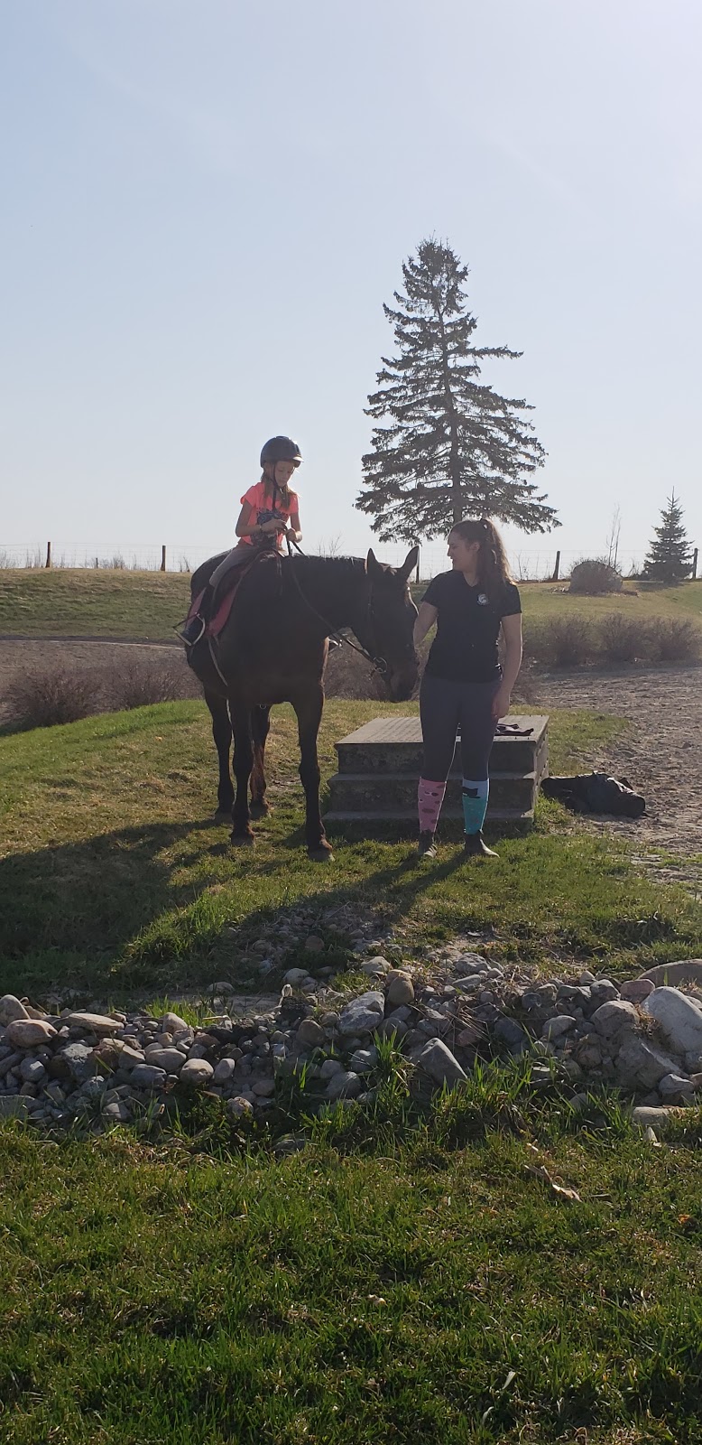 Hilltop Equestrian | 332 Sandford Rd, Uxbridge, ON L9P 1R1, Canada | Phone: (416) 402-7608