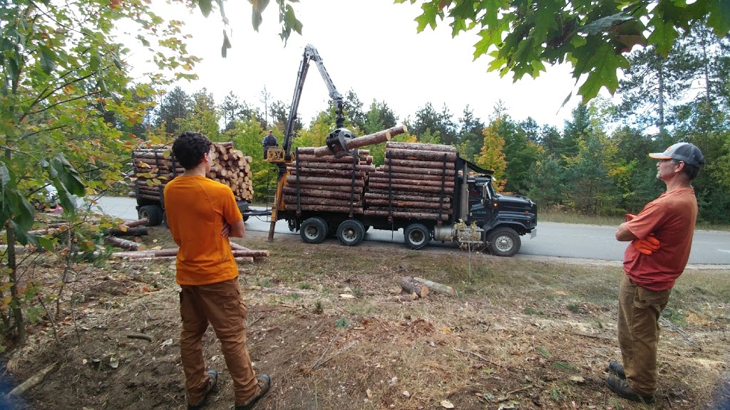Cut-Rite Tree Service | 4279 5 Line N, Coldwater, ON L0K 1E0, Canada | Phone: (705) 737-6339