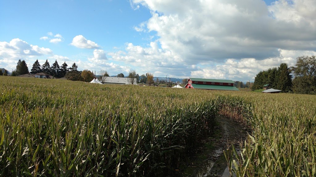 Hopcott Farms Manure and Hay Sales | 18211 Old Dewdney Trunk Rd, Pitt Meadows, BC V3Y 1Z1, Canada | Phone: (604) 465-5000