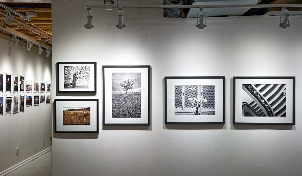 Skyline Gallery | 3 Trillium Ave, Nepean, ON K2E 5M8, Canada | Phone: (613) 277-6777