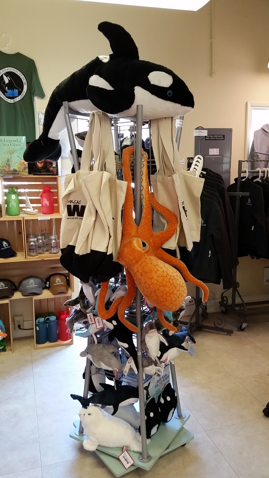 Orcas W.I.L.D. | 414 N Beach Rd, Eastsound, WA 98245, USA | Phone: (360) 376-3411