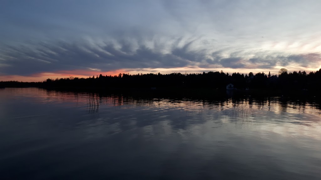 Bayhaven Camp | 17 Government Dock Rd, Stokes Bay, ON N0H 2M0, Canada | Phone: (519) 319-4004