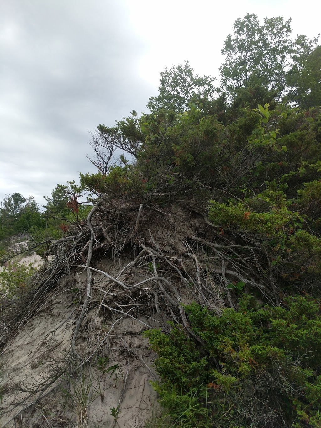 Bluewater Dunes | 2T0, 64 Nicole Blvd, Tiny, ON L0L 2T0, Canada