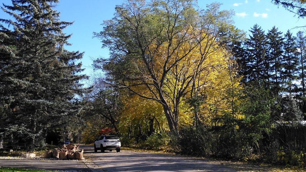 Pomona Mills Park | 244 Henderson Ave, Markham, ON L3T, Canada