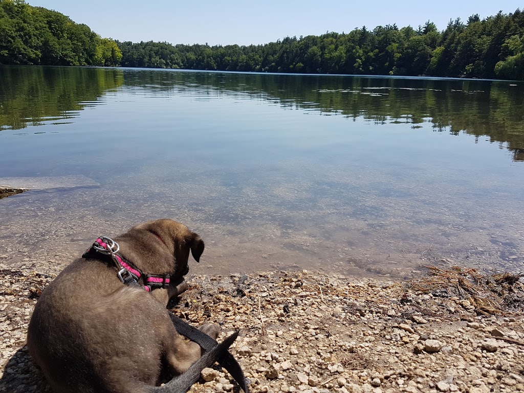 Oak Ridges Trail | Oak Ridges Trail, Richmond Hill, ON L4E 1A4, Canada | Phone: (416) 661-6600