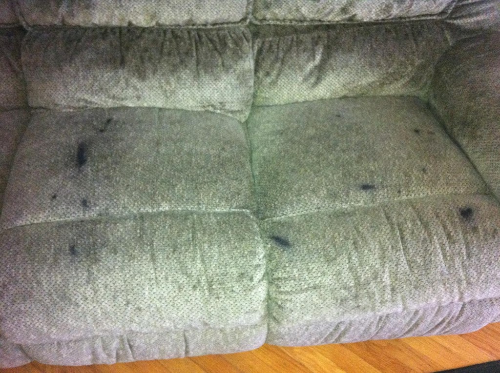 Carpet Medic Inc. | 130 South Ln, Grand Island, NY 14072, USA | Phone: (716) 773-6490