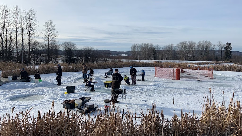 Aurora Fish Farm | 52.617083 114.610037, Ponoka County, AB T0C 2J0, Canada | Phone: (403) 505-0036