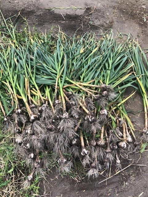 T and T Farms | 2375 Sylvester Rd, Shawnigan Lake, BC V0R 2W2, Canada | Phone: (250) 732-5345