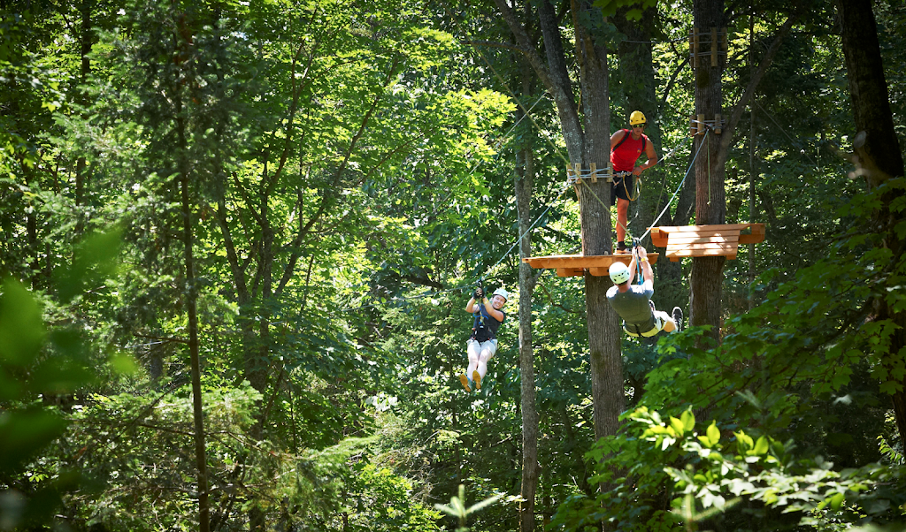 Treetop Trekking Huntsville | 1180 ON-60, Huntsville, ON P1H 1A9, Canada | Phone: (855) 788-9009