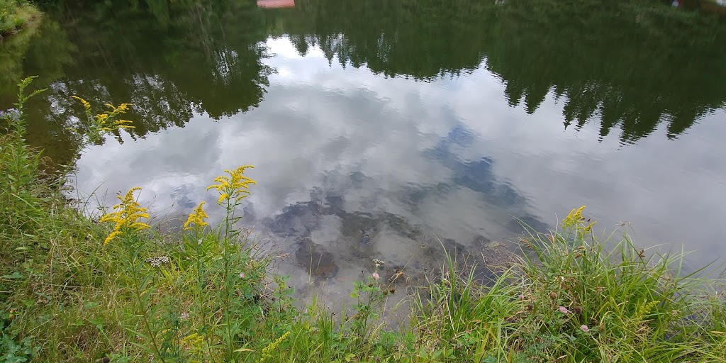 Etangs De Peche Du Capitaine | 94 Chemin de la Rouge, Brébeuf, QC J0T 1B0, Canada | Phone: (819) 429-5470