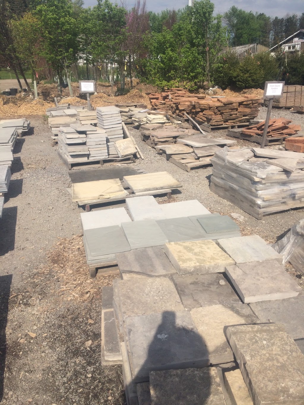 Maple Lane Nurseries & Landscaping | Taunton Rd, Bowmanville, ON L1C 3K2, Canada | Phone: (905) 263-4767