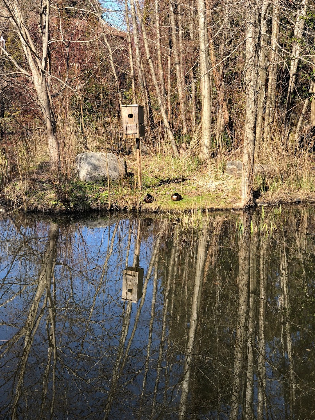 Outerbridge Park | 1181 Royal Oak Dr, Victoria, BC V8X 3T7, Canada