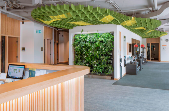Sprout Family Health | 555 Superior St, Victoria, BC V8V 0C5, Canada | Phone: (250) 410-4493