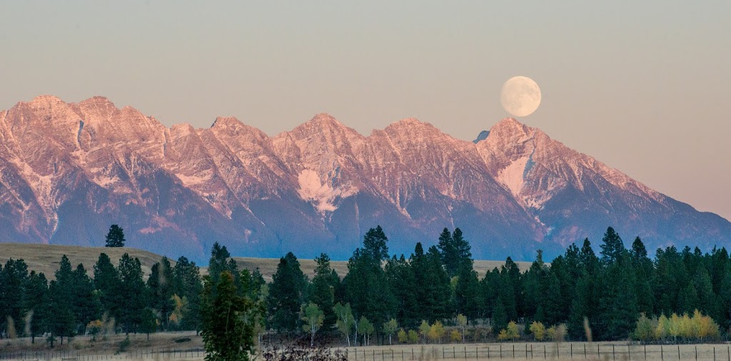 Mark Davies PREC* - Realtor Kimberley, BC | 290 Wallinger Ave, Kimberley, BC V1A 1Z1, Canada | Phone: (250) 427-0422