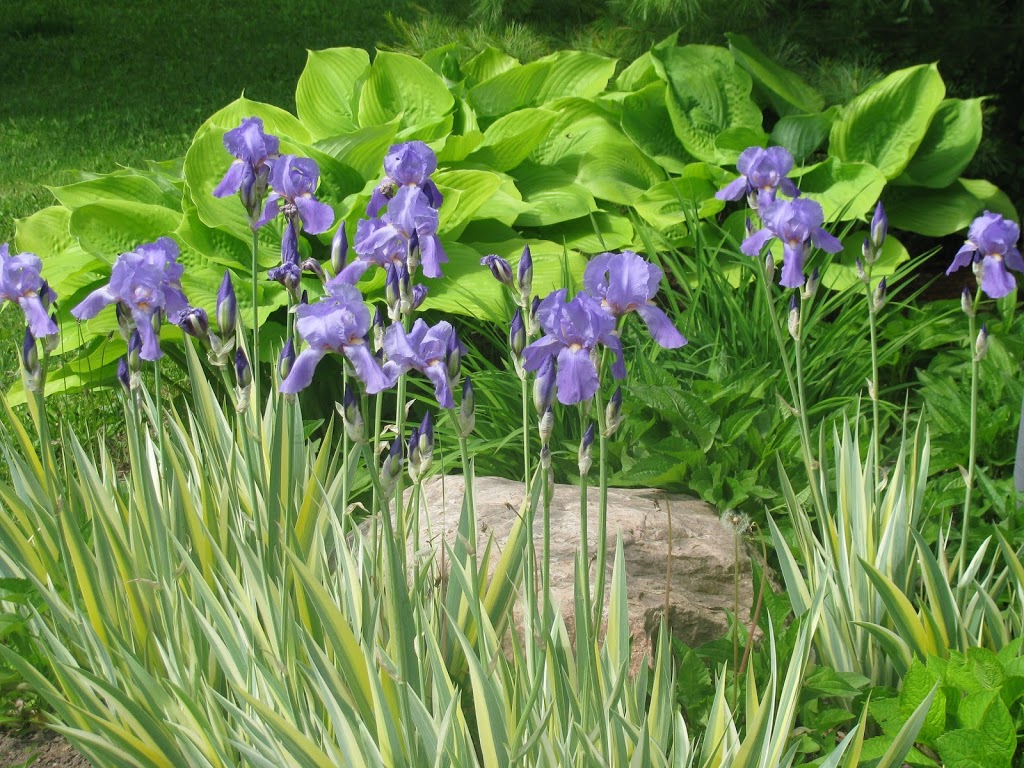 Steve Mattless Landscaping Ltd. | 1165 County Rd 28, Fraserville, ON K0L 1V0, Canada | Phone: (705) 749-1559